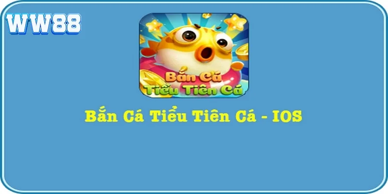 Tải game bắn cá tiểu tiên nhanh chóng trên mọi hệ điều hành